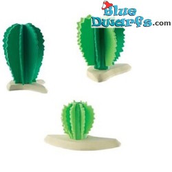 Cactus des arbres (5-11 cm)