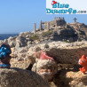 20439: Birba che Frena (1996) - Schleich - 5,5cm