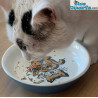 Azrael - Smurfs Pet Feeding bowl - The Smurfs - Duvo Plus - 320 ml