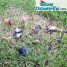 Del Prado animales - Jirafa - 15 cm