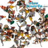 Bullyland Mini flower elves / Angel - 60 pieces - good luck mini figurines - 3cm