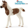 Caballos Schleich: Potro pinto - Schleich - 13839