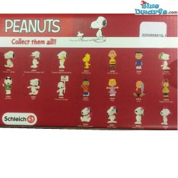 Playset  familia (peanuts/ Snoopy,22058)