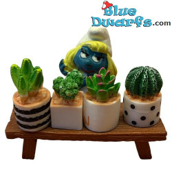 Vetplant en Cactus - 4 stuks - Smurfen Decoratieproduct - Smurf Niet Inbegrepen - +/- 3x2 cm