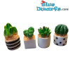 4 x Succulent Plant And Cactus - Smurfs Decoration Product - Smurf Not Included - +/- 3x2 cm