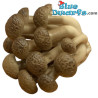 1 Realistische Pilz - Schlumpf Dekorationsprodukt - Smurf nicht enthalten +/- 5 cm