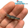 Rainforest Animals - 8 pieces - good luck mini figurines - 2,5 - 2 cm