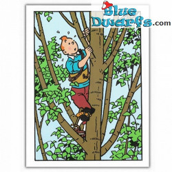 Tintin sull'albero - Cartolina doppia di Tintin - 12,5x17,5cm