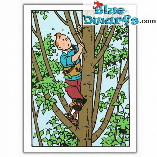 Tintin sull'albero - Cartolina doppia di Tintin - 12,5x17,5cm
