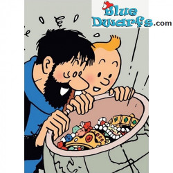 Tintín El Tesoro de Rackham el Rojo, las joyas - Carpeta Tintin A4 - Tintinimaginatio - 22 x 30 cm