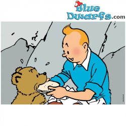 Puzzle Tintin – L’Oursceau – Poster inclus – Tintinimaginatio – 24 pièces