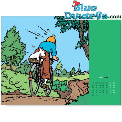 Tintin and leisure activities - 2026 Tintin Pocket Diary Agenda - Tintinimaginatio - 10 x 15 cm