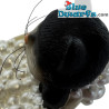 Purr-fect - Statuetta 9 Lives - Parastone - 7 cm