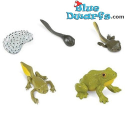 The life cycle of the frog – from frogspawn to frog – educational toy – 5 figurines – 12 cm