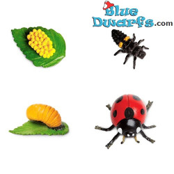 The life cycle of the Ladybug – from Egg to Ladybug – educational toy – 4 figurines – 12 cm