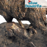 Brebis nourrissant son agneau – Les Animaliers – Figurine de la collection Pierre-Jules Mêne – Parastone – 9 cm