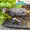 Pecora che allatta il suo agnello – Les Animaliers – Statuetta della Collezione Pierre-Jules Mêne – Parastone – 9 cm