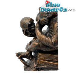 Scimmia con teschio – Statua da collezione di Hugo Rheinhold – Pocket Art – Parastone – 10 cm