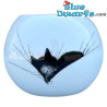 Portavelas esférico Dubout – Gros Dodo – Siesta de gato – Gato Dubout – Parastone – 6 cm