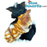 Paolo & Amalia - Figura de Catissimo - Parastone - 4, 6 cm