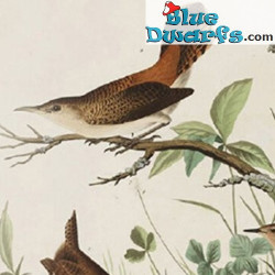 Pisapapeles Circular Wren - Colección de Arte John James Audubon - Parastone - 8 x 3,5 cm